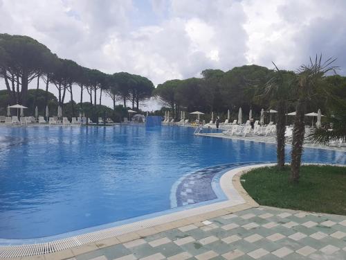 a large swimming pool with chairs and palm trees at Villa Eden 111, Perla Resort, Bay of Lalzi in Durrës