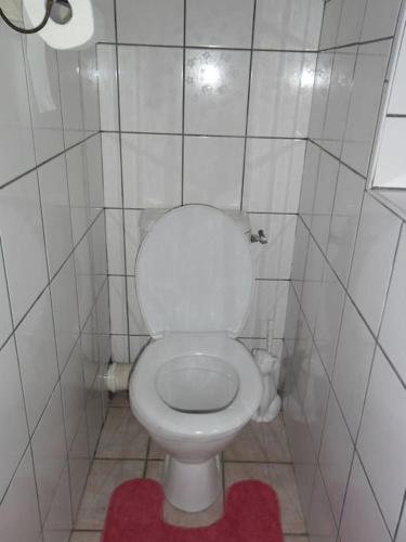 a small bathroom with a white toilet with a red rug at GITE LA FERMETTE A DOCELLES in Docelles
