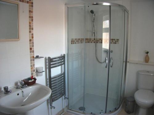 a bathroom with a shower and a sink and a toilet at The Homestar in Skegness