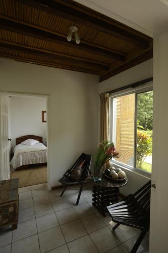 Gallery image of Misahualli Amazon Lodge in Puerto Misahuallí