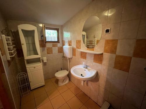 Bilik mandi di Tiszavirág apartman