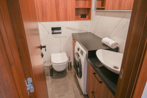een kleine badkamer met een wastafel en een toilet bij Drnis Bliss apartment in Drniš