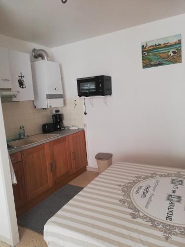 Il comprend une chambre avec un lit et une cuisine avec un évier. dans l'établissement Grau du roi, au Grau-du-Roi
