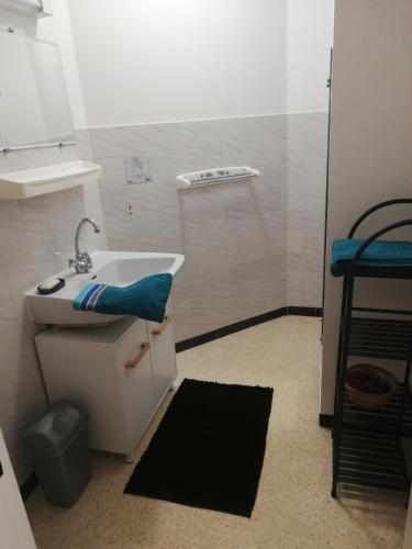 une petite salle de bain avec un lavabo et une douche dans l'établissement Grau du roi, au Grau-du-Roi