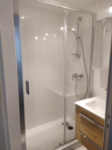 une douche avec une porte vitrée dans une salle de bain dans l'établissement ANNECY Centre - Charmant T2, à Annecy