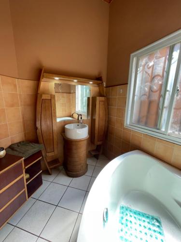 ein Badezimmer mit einer Badewanne und einem Waschbecken in der Unterkunft Andapamanitra Résidence in Antananarivo