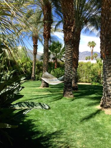 Zahrada ubytování Parker Palm Springs