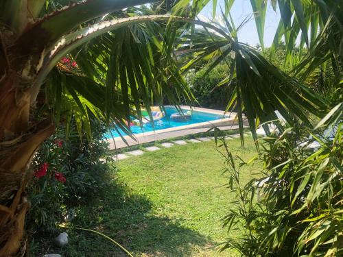 une piscine dans une cour avec des palmiers dans l'établissement Lemodernlounge, hébergement cosy moderne spacieux, à Balaruc-les-Bains