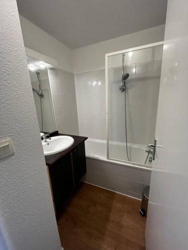 une salle de bain avec une douche, un lavabo et une baignoire dans l'établissement Le Nid du Teich, au Teich