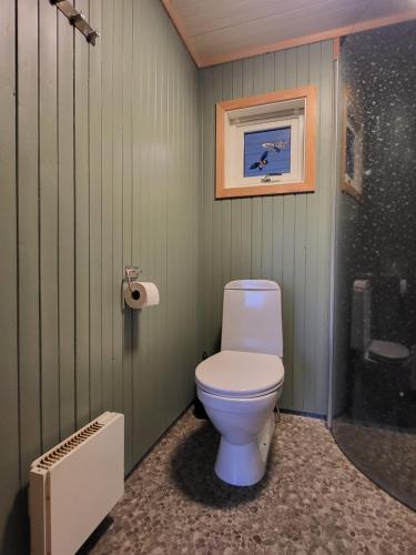 a bathroom with a toilet and a picture on the wall at Koselig studioleilighet i Svolvær - Lofoten ved Svolværgeita, Djevelporten in Svolvær
