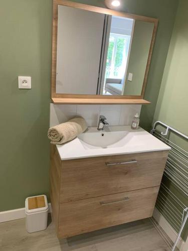 une salle de bain avec un lavabo et un miroir dans l'établissement Appartement cœur de village Numéro1, à Peyriac-de-Mer