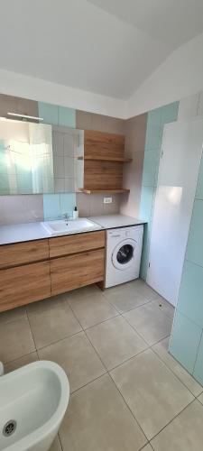 a kitchen with a sink and a washing machine at Apartment sunny view in Ankaran