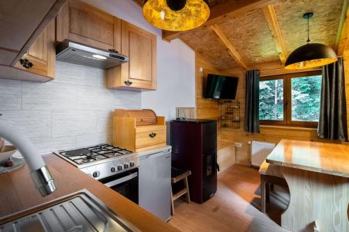 a kitchen with a stove and a stove top oven at Forest Amerika-Bungalovi Milica in Vrbovsko
