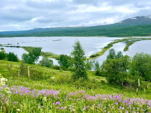 a view of a lake from a field of flowers at Klimpfjällsgården Hotel & Restaurant in Klimpfjäll