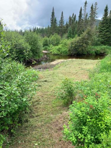 a grassy field with a river and trees at Les 3 Cavaliers - Les Chalets Spa Canada in La Malbaie