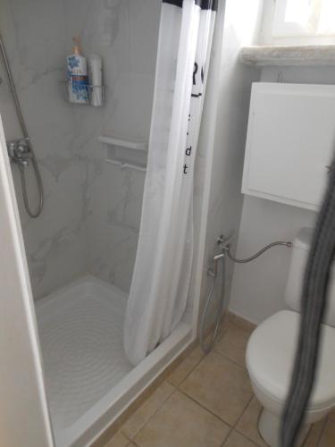 a bathroom with a shower curtain and a toilet at Mansion at Chora in Andros in Andros