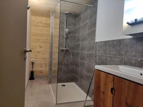 a bathroom with a shower and a sink at Le chalet à comté in Saffloz