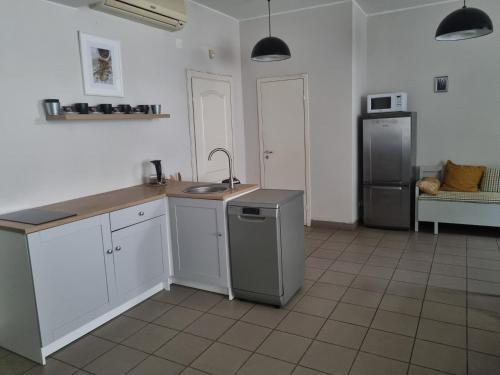 a kitchen with a sink and a refrigerator at CAMELLIA STUDIO apartment & parking in Rīga
