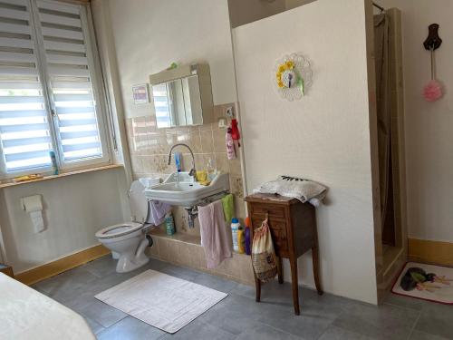 uma casa de banho com um lavatório e um WC em Chambre Arnica lit 140 wifi sdb partagée em Saint-Amarin