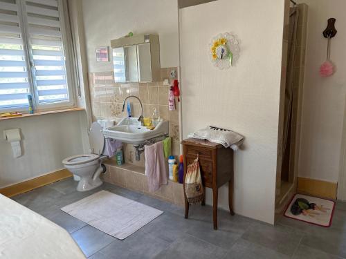 een badkamer met een wastafel en een toilet bij Chambre Gentiane 2 à 3 personnes wifi sdb partagée in Saint-Amarin