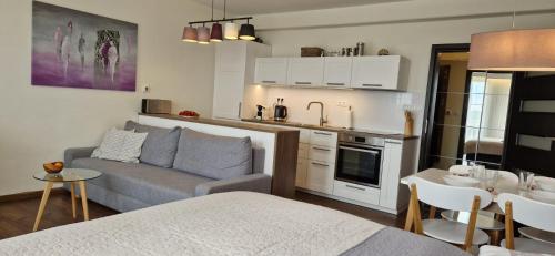 Fotografie z fotogalerie ubytování Horní Mísečky -C1 apartmán u sjezdovky v Horních Mísečkách
