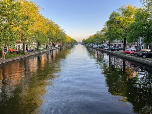 a river with trees and cars parked on the sides at Canal View Stay Amsterdam in Amsterdam
