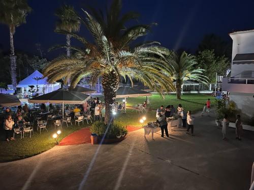 a group of people standing in a park at night at 7Syn7 in Oreoí