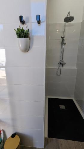 La salle de bains est pourvue d'une douche et d'une plante murale. dans l'établissement Les escales Périgourdines, Laura, 3 étoiles, à Trémolat