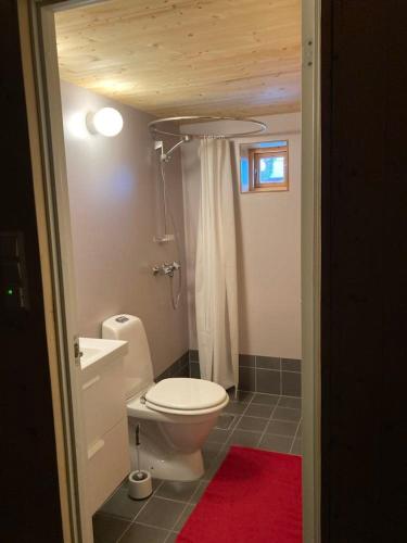 a bathroom with a white toilet and a red rug at Villa Lofoten - Edvardbua in Kvalnes