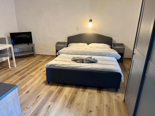 a bedroom with two beds and a flat screen tv at EDER- Penzion & Apartmány in Horní Planá