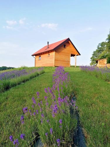 a house on a hill with purple flowers in the grass at Jelenova lesena hiška in Loče pri Poljčanah