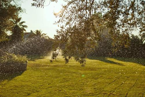a field of grass with a tree in the foreground at İlçayto Rooms in Foca