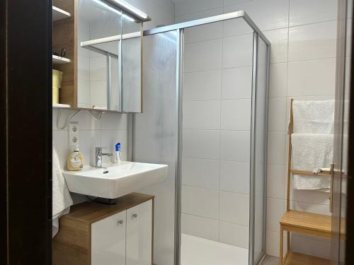 y baño con lavabo y ducha. en Studio Apartment near Linz Main Train Station, en Linz