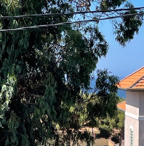 Photo de la galerie de l'établissement Appartement T2 prequ'île de Giens, à Hyères