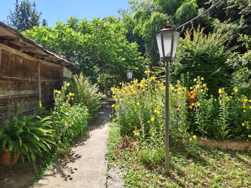 a street light next to a garden with yellow flowers at Guesthouse Luka in Martvili