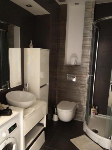 a bathroom with a sink and a toilet and a shower at Apartament City Center JAPAN - no smoking, free bottled water, coffea and tea in Koszalin