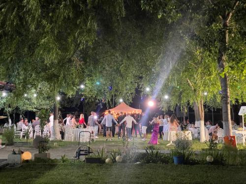 a group of people at a party in a park at night at Gigios Sport&Relax in Băileşti