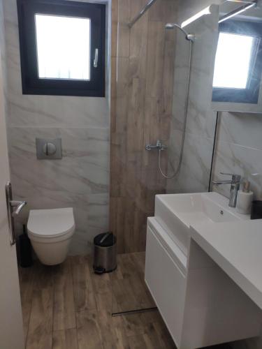 a bathroom with a white sink and a toilet at Family house in Ofrínion