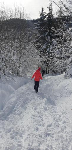 a person in a red jacket walking in the snow at CASA VACANZE BASTIANI in Novaledo