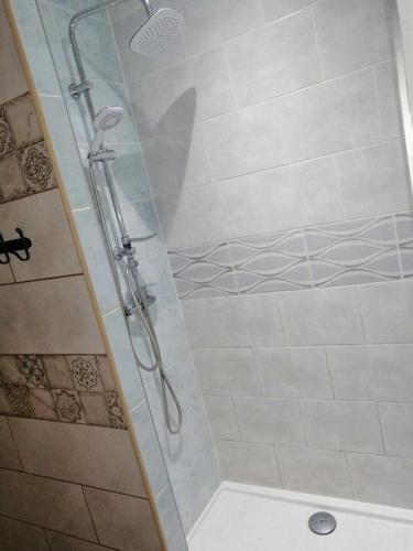a shower with a glass door in a bathroom at Agroturystyka u podnóża Gór Sowich in Pieszyce