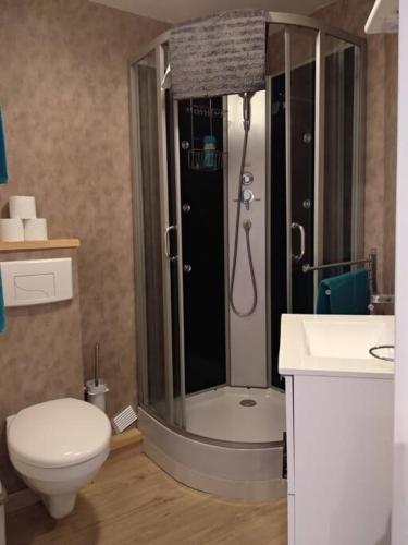 une salle de bain avec une douche, des toilettes et un lavabo dans l'établissement Appartement centre ville rose, à Toulouse