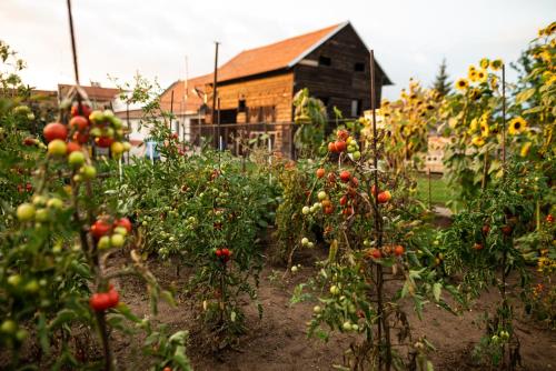 Jardin de l'établissement Penzion Na výminku