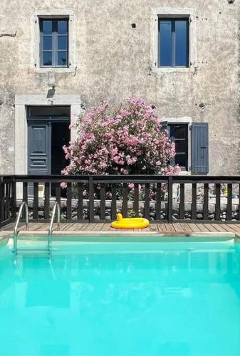 un frisbee jaune assis au bord d'une piscine dans l'établissement Appartement dans maison Chomérac, à Chomérac