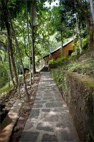a stone path through a forest with trees at The Kandy Samadhicentre in Kandy