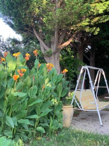 a swing in a garden next to a tree at Anastasias Villa in Kastro Kyllini