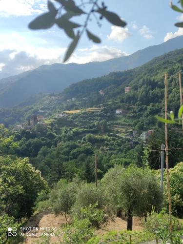 a view of a valley with trees and mountains at La Pezzuola 53 in Sopralacroce