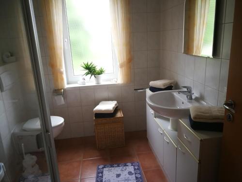 a bathroom with a sink and a toilet and a window at FeWo Grüne Wiese 