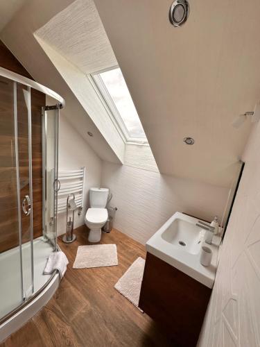 a bathroom with a sink and a shower and a toilet at Szmaragdowe Apartamenty in Polańczyk