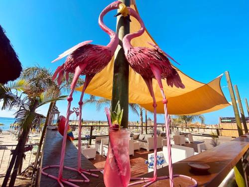 two flamingos are standing on a table at a beach at Flamingo Suites in Marina di Camerota