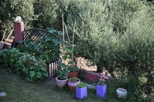 a garden with potted plants and a wooden fence at Anastasias Villa in Kastro Kyllini